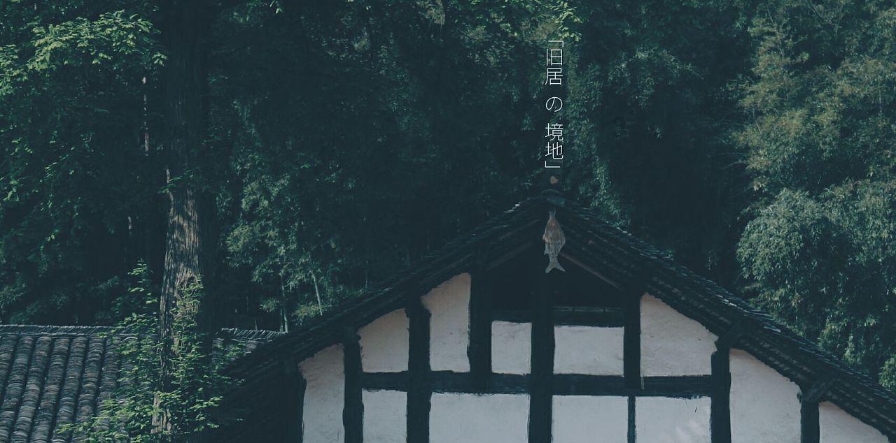 春雨直播app